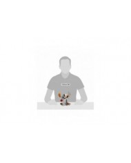 Disney by Britto - Figurine Stitch Midas