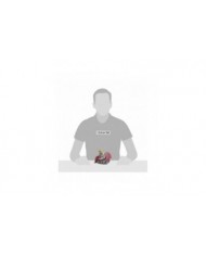 Disney Traditions - Figurine Dumbo avec Cur