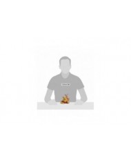 Disney Traditions - Figurine Winnie L'ourson et Porcinet