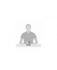 Disney Traditions - Figurine Mulan Fleur de cerisier