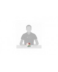 Disney Traditions - Figurine Ariel Coquillage