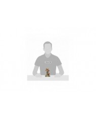 Disney Traditions - Figurine Robin des Bois pose