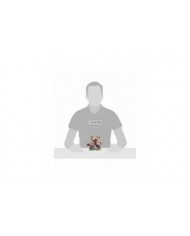 Disney Traditions - Figurine Tic et Tac