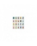 Cardfun Disney 100 Carnival Deluxe Edition - Boîte 10 Boosters 4 Cartes