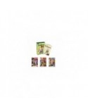 Cardfun Zootopie Fun Edition - Boîte 10 Boosters 4 Cartes