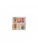 Cardfun Zootopie Fun Edition - Boîte 10 Boosters 4 Cartes