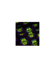 Sac à dos Loungefly - Universal Monsters Frankenstein Neon Mask