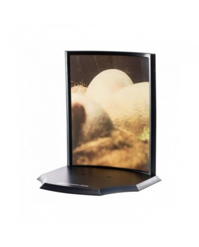 Jurassic Park Statuette Toyllectible Treasure Raptor Egg Life Finds A Way 12 cm