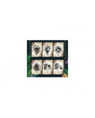 Cardfun Disney Le Roi Lion 30ème Anniversaire - Boîte 10 Boosters 4 Cartes