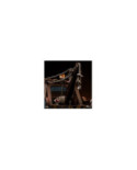 Statuette Martin (Tow Mater) Cars Art Scale 1/10