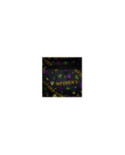 Sac à dos Loungefly - Beetlejuice Haunted House Glow in the Dark