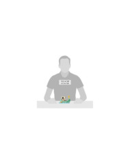 Peanuts by Jim Shore - Figurine Snoopy et Woodstock Barque