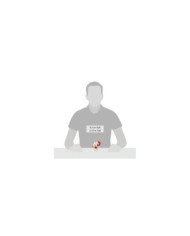 Peanuts by Jim Shore - Mini Figurine Snoopy Elf de Noël