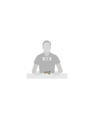 Disney Village - Figurine Mickey et ses 3 Bonhommes de Neige