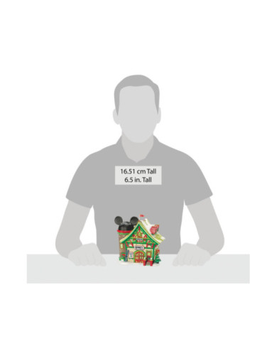 Disney Village - Maison de Ski de Mickey