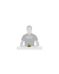 Disney Village - Figurine Train de Noël de Mickey