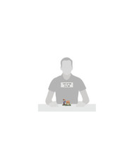 Disney Village - Figurine Minnie Mouse Concours de citrouilles