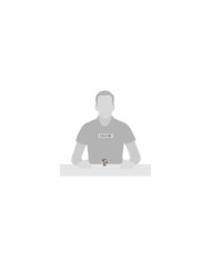 Disney Village - Figurine Mickey autographe