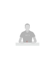 Disney Village - Figurine Minnie danseuse étoile