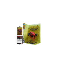 Marvel Collection Statuette PVC 1 / 6 Spider  man (Spider  man n 1) (Gold Edition) (Gold Label) 15 Cm