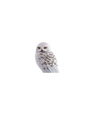 Harry Potter Statuette Magical Creatures Hedwige 24 Cm