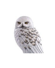 Harry Potter Statuette Magical Creatures Hedwige 24 Cm