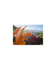 Pokémon Statuette Dracaufeu 47 Cm