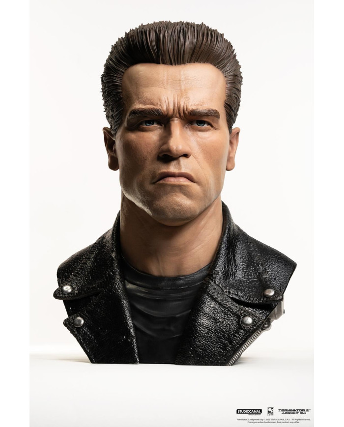 TERMINATOR 2 - T-800 Model 101 - Masque Scale Art 1/1 47cm