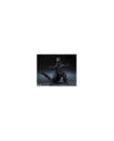 GODZILLA 1954 - Movie Graphic Plus - Figurine S.H. Monsterarts 15cm