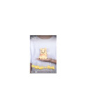 DISNEY - Winnie L'Ourson - Tirelire Cuddly Doll 12cm