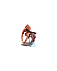 ONE PIECE - Monkey D. Luffy - Figurine One Piece Card Game 18cm
