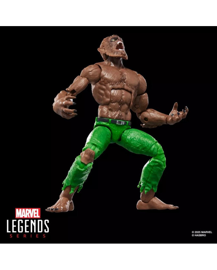 MARVEL - Werewolf by Night - Figurine Legends Series 15cm