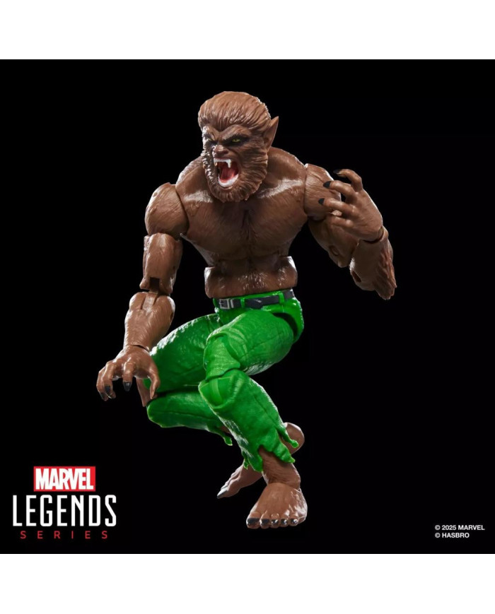 MARVEL - Werewolf by Night - Figurine Legends Series 15cm