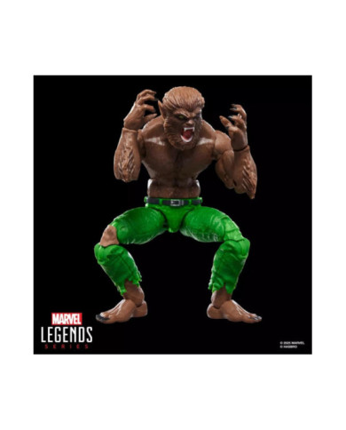 MARVEL - Werewolf by Night - Figurine Legends Series 15cm
