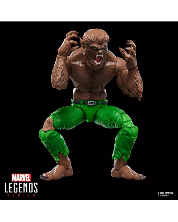 MARVEL - Werewolf by Night - Figurine Legends Series 15cm