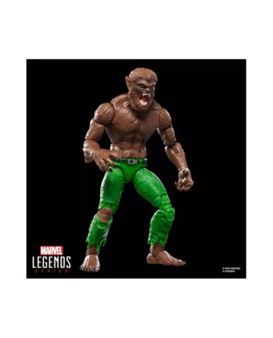 MARVEL - Werewolf by Night - Figurine Legends Series 15cm