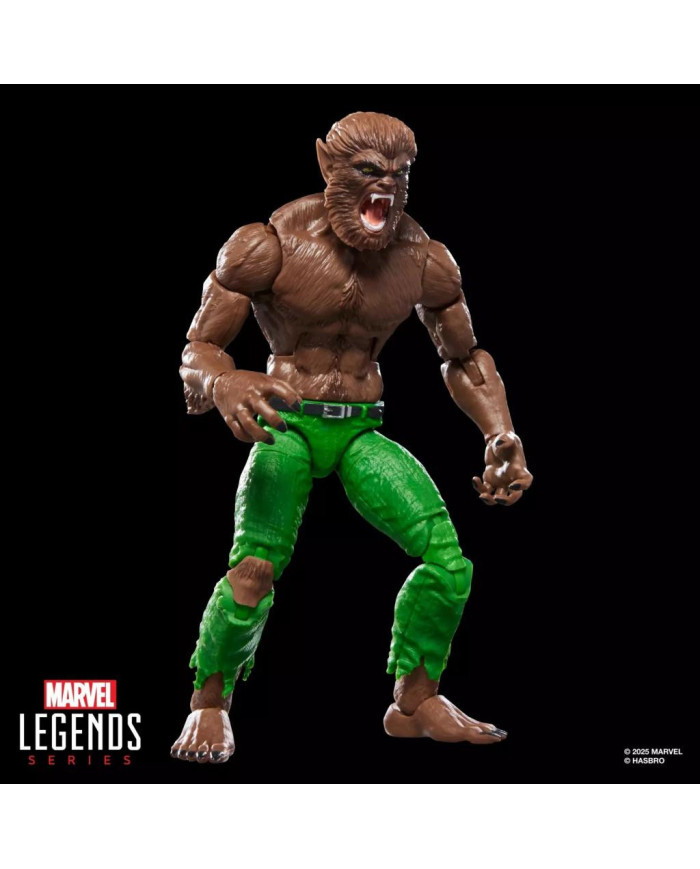 MARVEL - Werewolf by Night - Figurine Legends Series 15cm