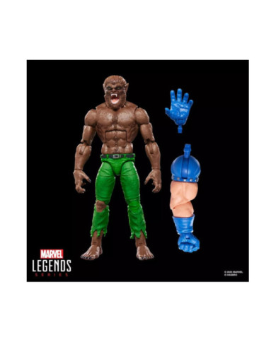 MARVEL - Werewolf by Night - Figurine Legends Series 15cm