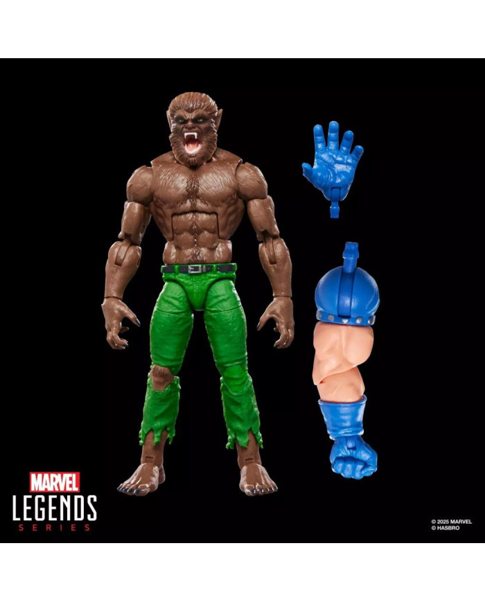 MARVEL - Werewolf by Night - Figurine Legends Series 15cm