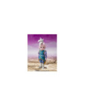 DRAGON BALL DAIMA - Supreme Kai (Mini) - Figurine S.H. Figuarts 8cm