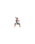 HUNTER X HUNTER - Netero - Figurine Hunting Archives 18cm