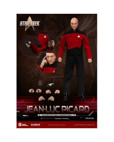 STAR TREK GENERATIONS - Jen-Luc Picard - Figurine 20.5cm