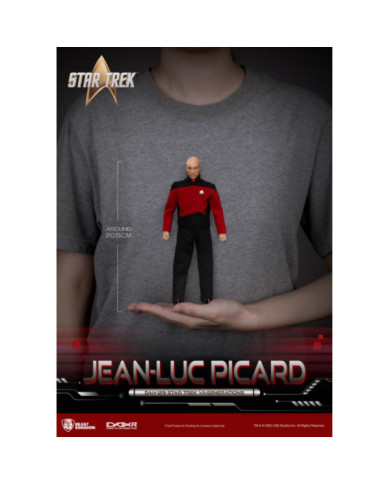STAR TREK GENERATIONS - Jen-Luc Picard - Figurine 20.5cm