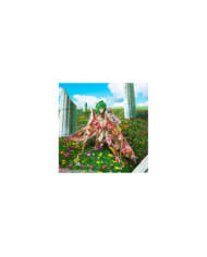 SAINT SEIYA - Andromeda "Gold Cloth" - Figure Saint Cloth Myth Ex 17cm