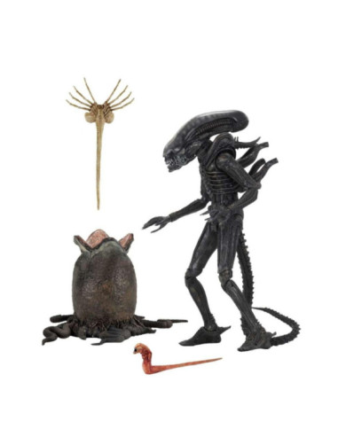ALIEN - Big Chap 40eme Anniversaire - Ultimate Figurine 22cm
