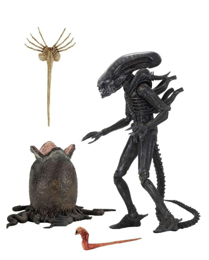 ALIEN - Big Chap 40eme Anniversaire - Ultimate Figurine 22cm