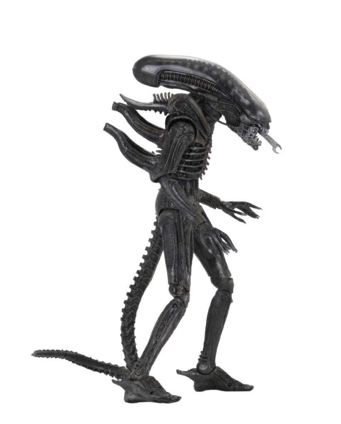 ALIEN - Big Chap 40eme Anniversaire - Ultimate Figurine 22cm