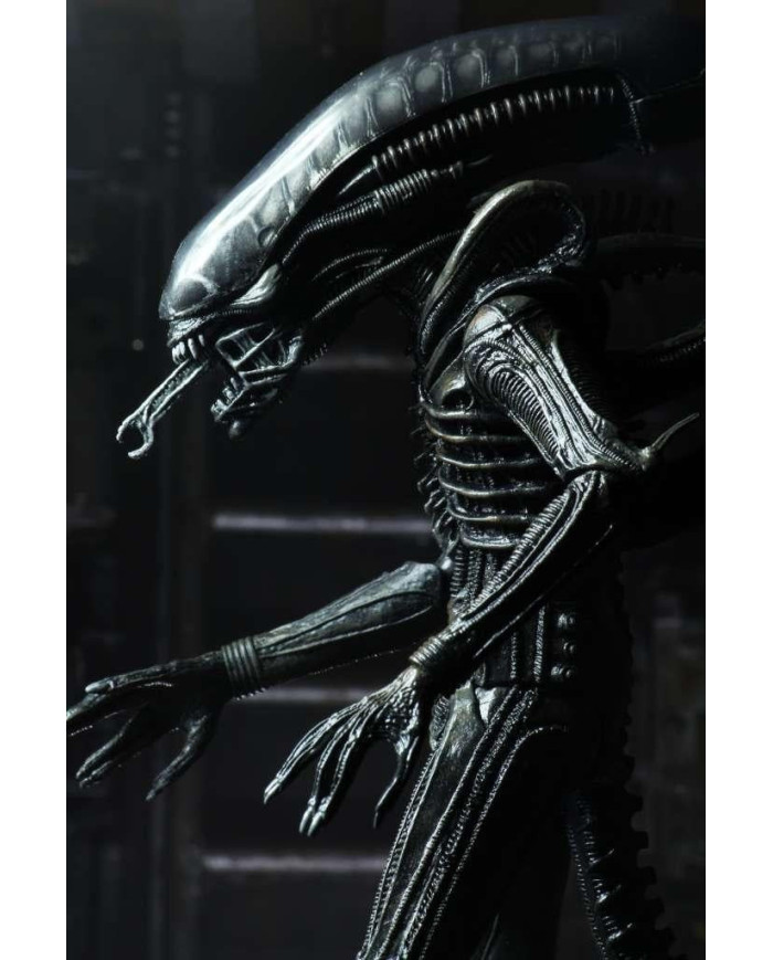 ALIEN - Big Chap 40eme Anniversaire - Ultimate Figurine 22cm