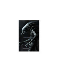 ALIEN - Big Chap 40eme Anniversaire - Ultimate Figurine 22cm