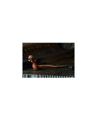 ALIEN - Big Chap 40eme Anniversaire - Ultimate Figurine 22cm